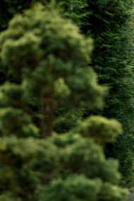 Обложка книги Когда в мире только двое...