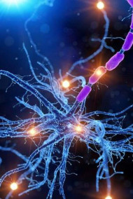 Dark_Rus(Ruslan Dark) - Сотворенные(已創建)