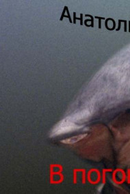 Анатолий Половинкин - В погоне за мифом