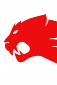 Легенды Стальных Кошек