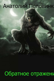 Обратное отражение