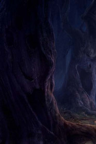 Обложка книги Часть шестая: Медальон