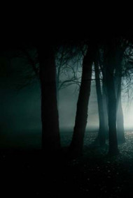 Обложка книги Кто я?