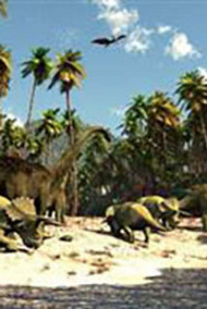 Обложка книги Этот мир как сон