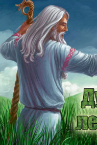 Обложка книги Дух леса