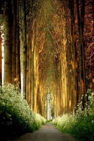 Андрей Нарыгин - Загадочный визитёр