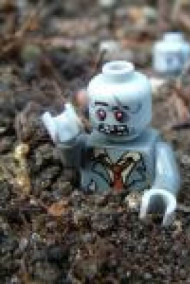 А это точно перерождение?