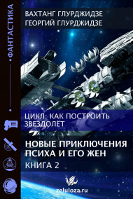 Обложка книги КАК ПОСТРОИТЬ ЗВЕЗДОЛЕТ — Книга 2. Новые приключения Психа и его жен