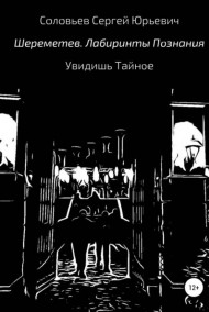 Обложка книги Шереметев. Лабиринты Познания