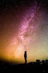 Былинка с плаща Творца