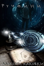 Обложка книги Ручейник