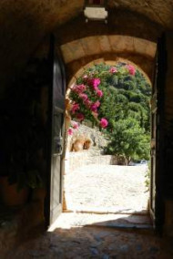 Обложка книги 333