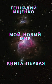 Мой новый мир – книга первая