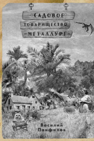Василий Панфилов - Садовое товарищество "Металлург"