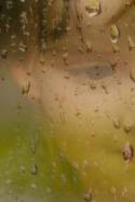 Mik - Мишкины рассказы