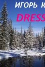 Обложка книги DRESS - КОД