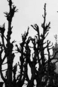 Обложка книги Исповедь в серых красках