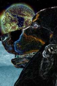 Менеджер континуума