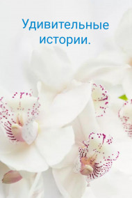 Удивительные истории.