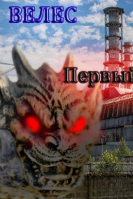 Обложка книги Первый сталкер