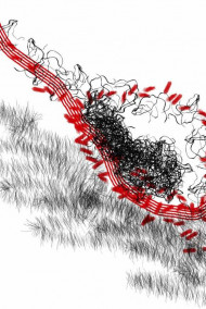 Обложка книги Мертвая живая