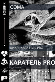 Каратель PRO