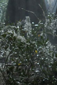 Постников Юрий - Смерть на болоте