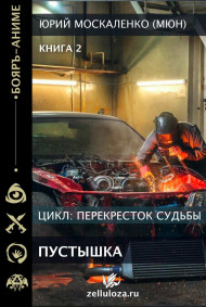 Перекрёсток судьбы. Пустышка. Книга вторая