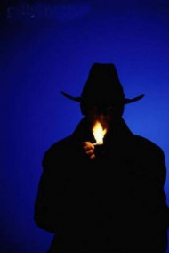 Гений сыска