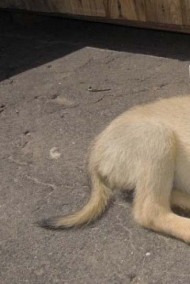 Постников Юрий - ГРОМ