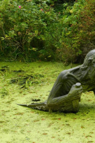 Обложка книги Убийство на болоте