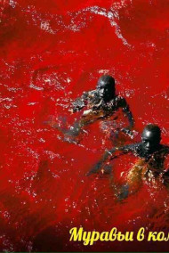 Муравьи в сиропе