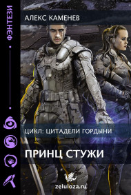 Цитадели гордыни 4. Ярость Стихий