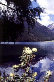 Гость-59898 - Книга об этике