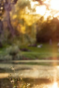 Татьяна Бутенко - Личная жизнь Светланы