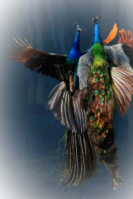 Лариса Ласкавая - Легенда об Урии, Носителе Архитипа Вечного Рая