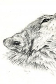 Обложка книги Не тот выход