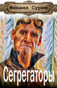 Михаил Сурин - Сегрегаторы