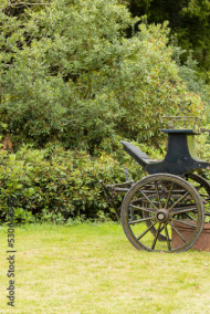 Обложка книги Домашнее задание