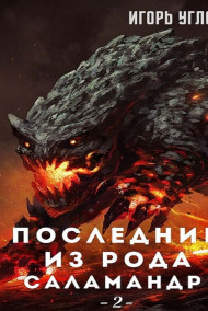 Игорь Углов - Последний из рода Саламандр 2. Земли Адохира