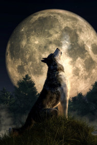 Рождения шамана - Рождения шамана. Отражения Духа.