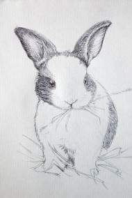 Постников Юрий - Бедный белый кролик