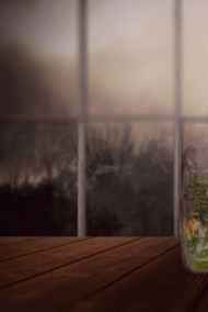 Обложка книги Ностальгия