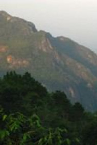 Вторая жизнь