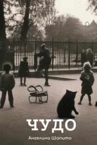 Обложка книги Чудо