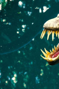 Грозный дракон.