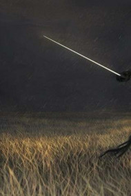 Посланник всевидящего Неба