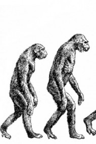 Обложка книги Когда плохо - это хорошо.