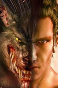 Обложка книги Стая