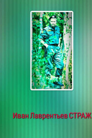 Обложка книги Страж